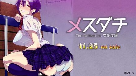 Mesudachi The Animation