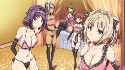 Harem Time The Animation