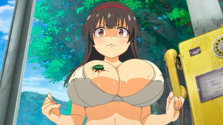 Natsu to Hako